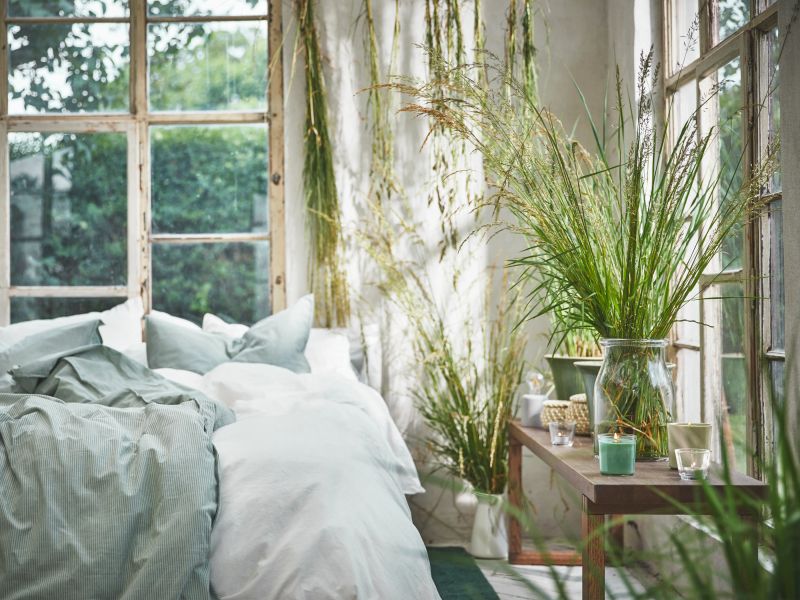 Lorem 7 ipsum ipsum dolor sit amet sit amet